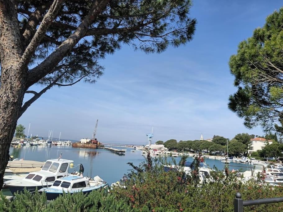 Ferienwohnung Nena In Crikvenica Kültér fotó