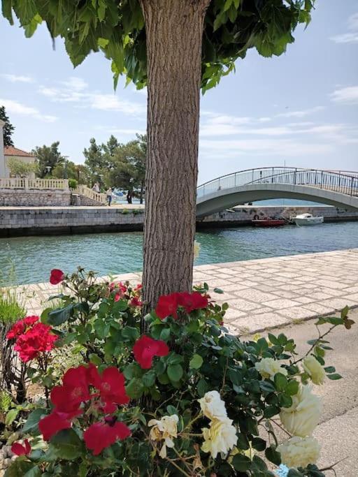 Ferienwohnung Nena In Crikvenica Kültér fotó